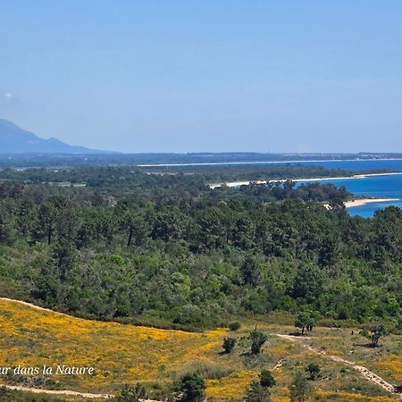 Gite L'Appart De Case Vanille Sari-Solenzara Bagian luar foto