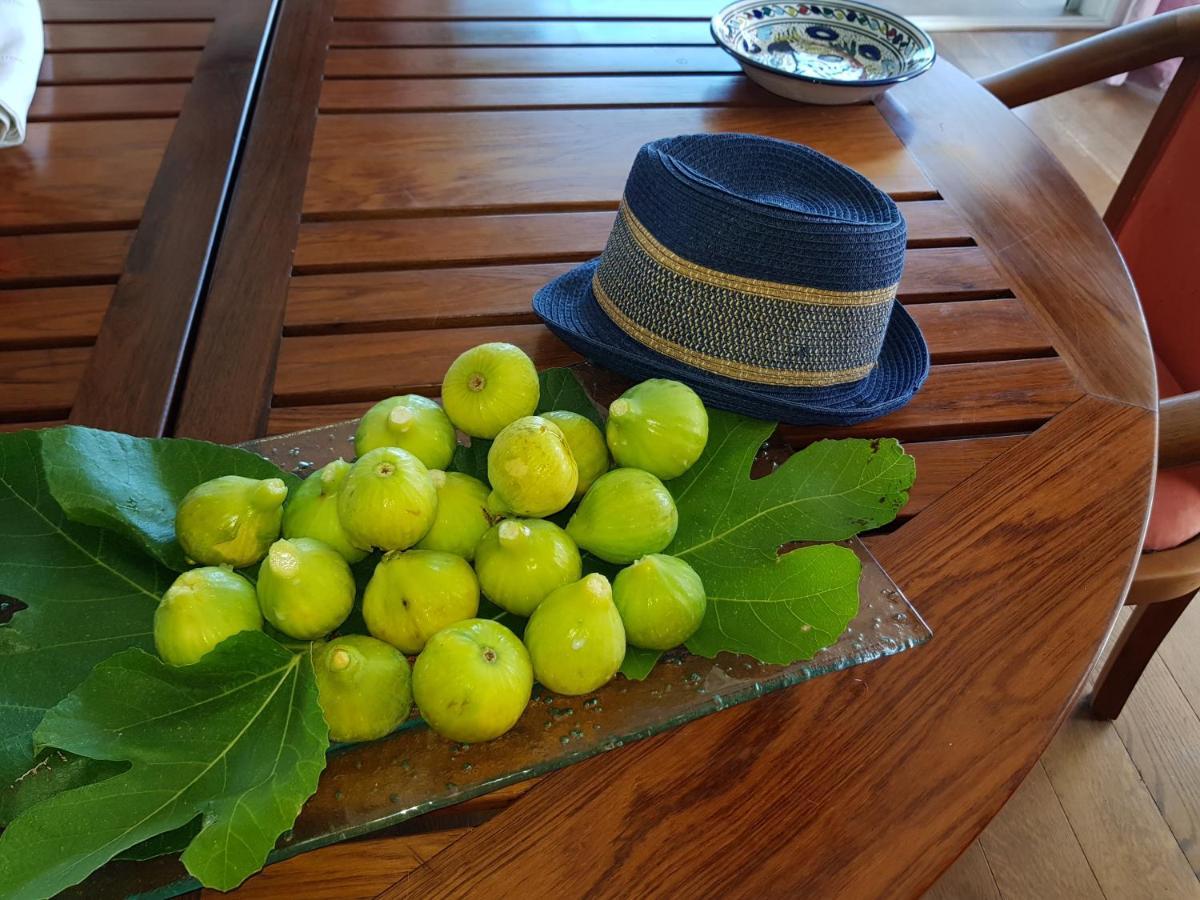 Gite L'Appart De Case Vanille Sari-Solenzara Bagian luar foto