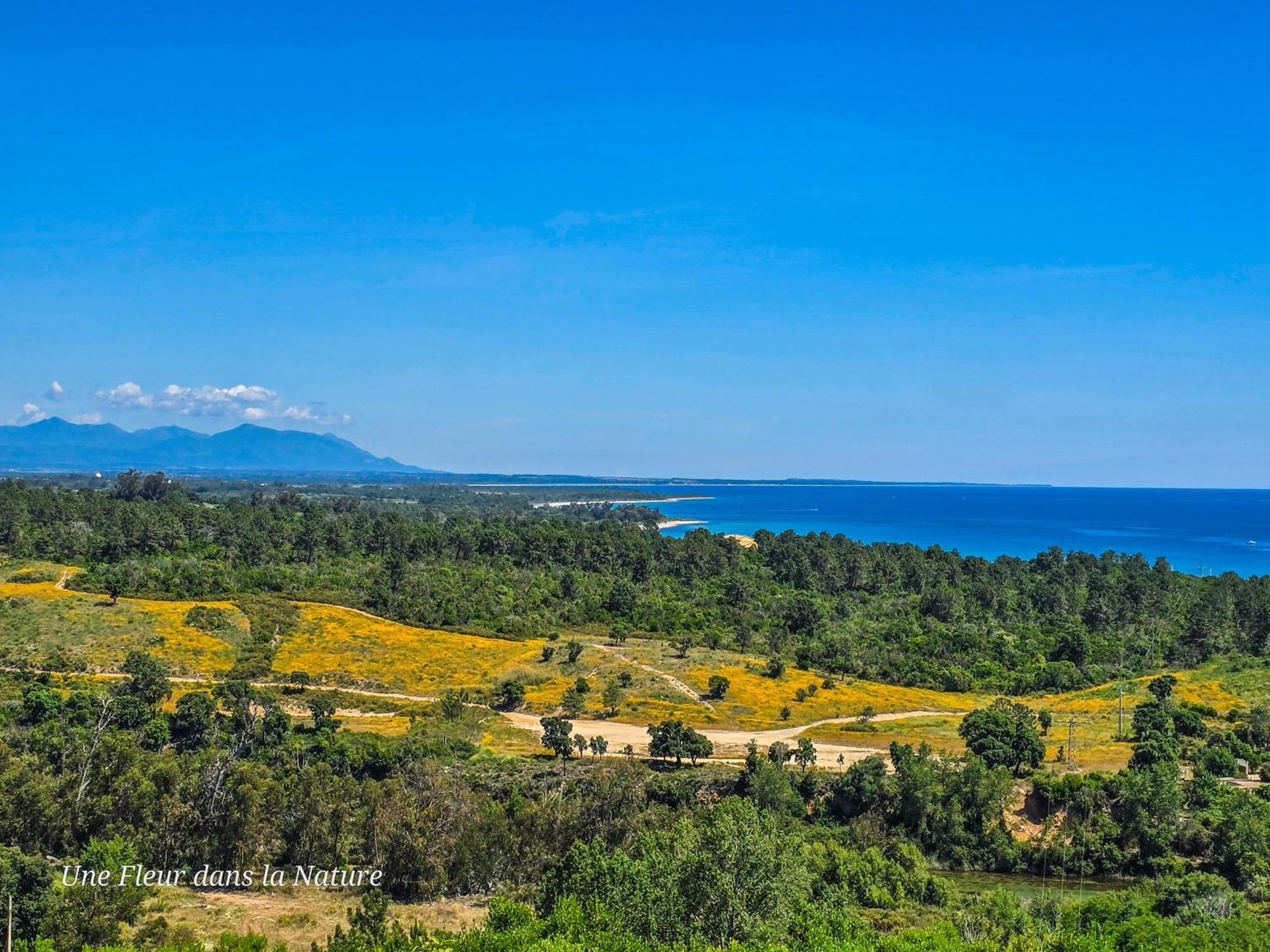 Gite L'Appart De Case Vanille Sari-Solenzara Bagian luar foto