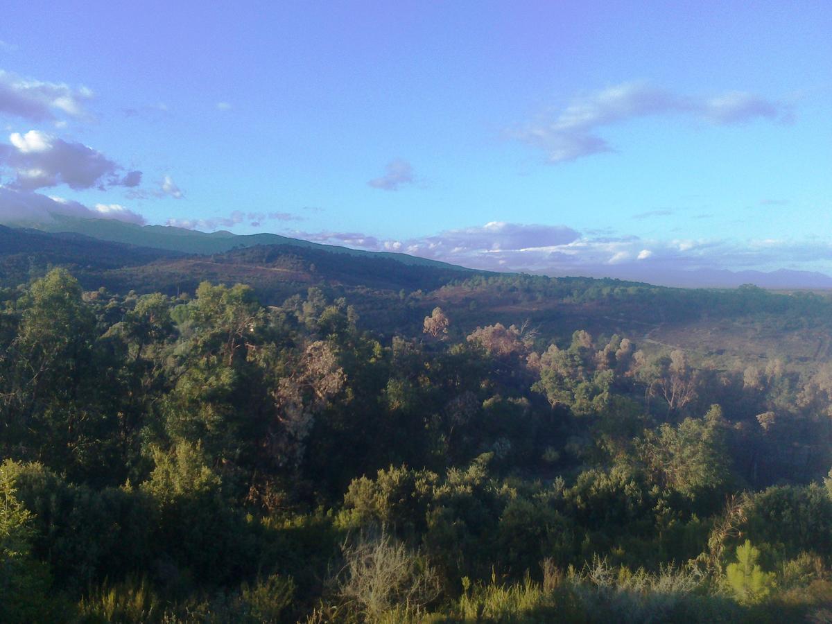 Gite L'Appart De Case Vanille Sari-Solenzara Bagian luar foto